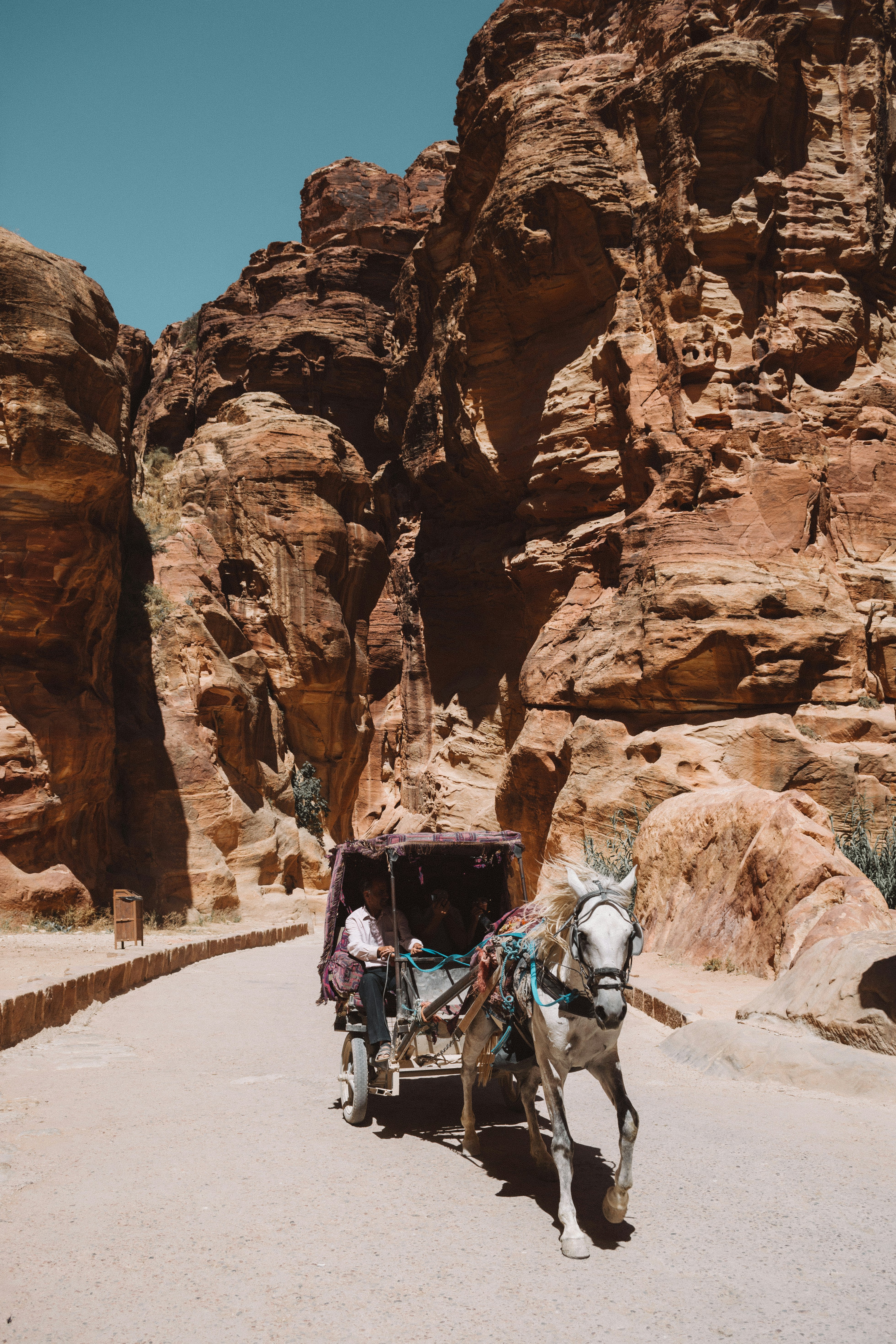 person riding on carriage with white horse near rocky mountain